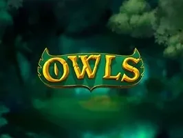 นกฮูก DNT screenshot